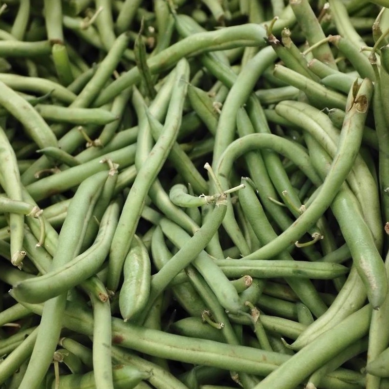 Green Bean ingredient